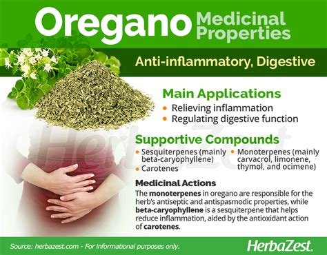 Madic Seaweed Oregano: A Natural Remedy for Digestive Issues